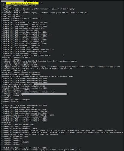 ch-test-create-company-example